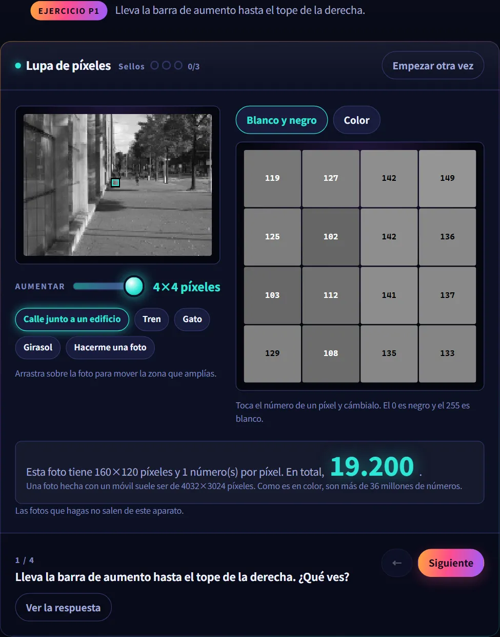 El taller Lupa de píxeles con el control de zoom desplazado del todo a la derecha, mostrando una foto de una calle y una cuadrícula de cuadros con números de brillo