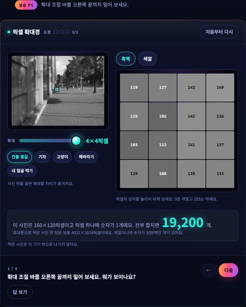거리 사진과 밝기 숫자가 적힌 격자 네모가 보이는 픽셀 확대경 실습에서 확대 슬라이더를 오른쪽 끝까지 민 모습